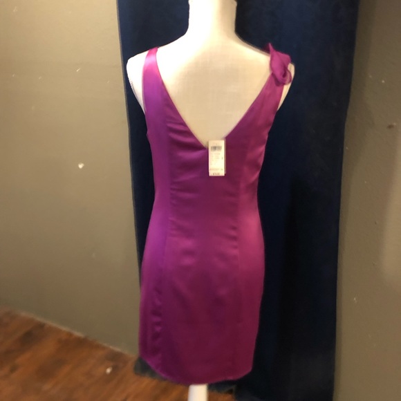 Fitted Rouge Ruffled Dress - Picture 3 of 5